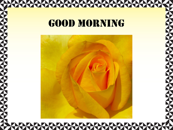 Good Morning (Image ID:60-022)